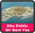 Jungtiniai Arabų Emyratai (JAE), Abu Dabis, Sir Bani Yas